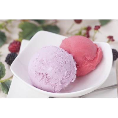 縄文ベリーアイス4種詰め合わせ　合計10個セット【配送不可地域：離島】