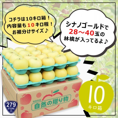 りんご シナノゴールド 4月から順次発送 A品 10kg (28～40玉)CA貯蔵 津軽産直組合直送【配送不可地域：離島】