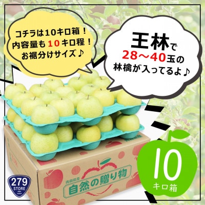 りんご 王林 4月から順次発送! A品 10kg (28～40玉) CA貯蔵 津軽産直組合直送【配送不可地域：離島】