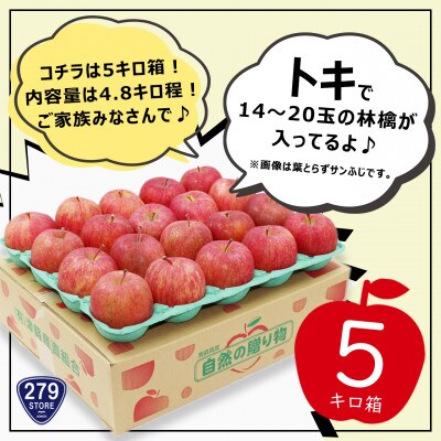 10月初旬頃発送 トキ A品 5キロ箱 4.8kg 14～20玉 津軽りんご 産地直送【配送不可地域：離島】