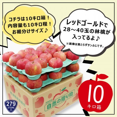 10月下旬頃発送 レッドゴールド A品 10キロ箱 10kg 28～40玉 津軽りんご 産地直送【配送不可地域：離島】