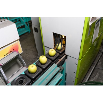 【CAりんご】糖度13度以上保証有袋ふじ約5kg訳あり家庭用【配送不可地域：離島・沖縄県】