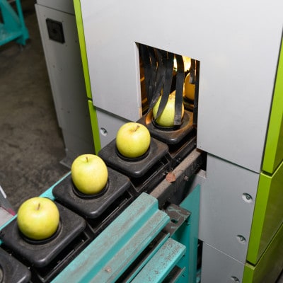 【青森市産】糖度12度以上保証!サンつがる贈答用約5kgりんご ※離島・沖縄は配送不可【配送不可地域：離島・沖縄県】