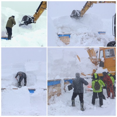 【2026年3月発】希少なりんご!　青森雪貯蔵りんご(サンふじ)　3kg箱【離島・沖縄配送不可】【配送不可地域：離島・沖縄県】