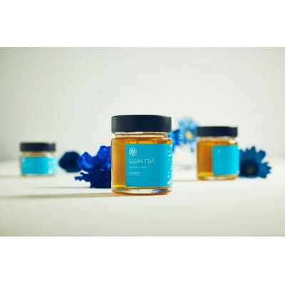 青森産純粋はちみつ食べ比べセット(アカシア・和栗)各1個