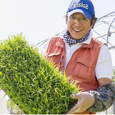 【さつき米】青森県産米「青天の霹靂」白米 5kg