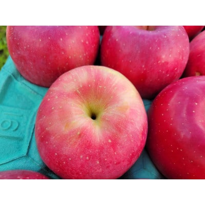 【訳あり】青森県産りんご「早生ふじ 家庭用」約5kg　産地直送!【配送不可地域：離島】