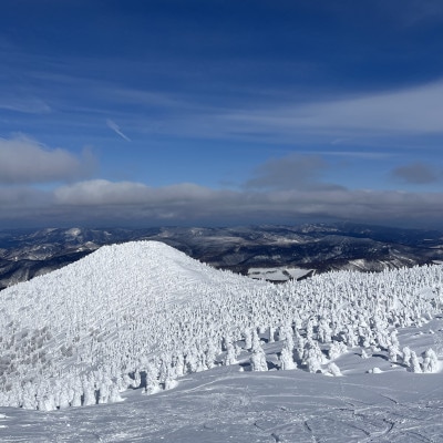 「手ぶらで」八甲田樹氷スノーシューツアー1名様【体験時間:約2時間】