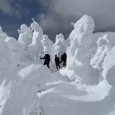 自分の足で登ろう!春の八甲田の大自然を満喫するスノーシューツアー1名様【体験時間:約6時間】