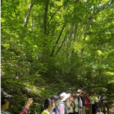 浅虫温泉森林浴ウォーク1名様【体験時間:約2時間】