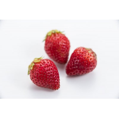 【先着50セット限定】青森県青森市産の希少いちご　400～500g/1箱　冷蔵便で直送【配送不可地域：離島・沖縄県・九州】