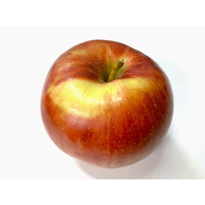 【2025年10月発送予定】平均糖度12度以上! 葉とらずサンつがる 約5kg 訳あり【配送不可地域：離島・沖縄県】