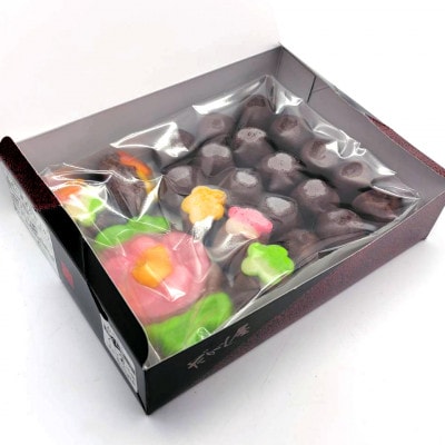 【青森市伝統駄菓子】あん玉くじ(あん玉当て)くじ玉16個+景品菓子6個【配送不可地域：離島】