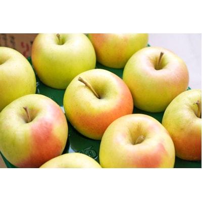 【26年3月出荷予定】平均糖度13度以上! ぐんま名月 約10kg 訳あり【配送不可地域：離島・沖縄県】