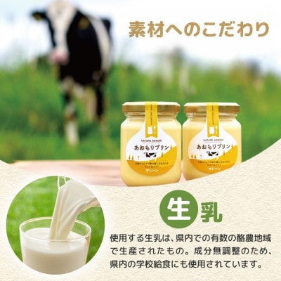 あおもりプリン プレーン 6個入り 【青森市】【配送不可地域：離島】