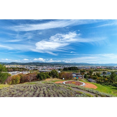 【青森県発】なみおかりんご(サンふじ) 家庭用 約2.5kg以上【配送不可地域：離島】