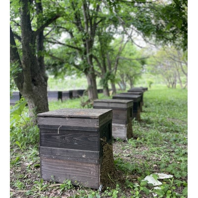 青森市「林檎の蜂蜜」ねぶたドットアートラベル