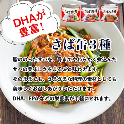マルハニチロ さば3種(水煮、みそ煮、煮付)缶詰アソート 190g×12缶 ふるさと納税