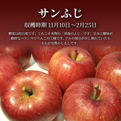 【青森直送 季節の味覚をお届け!】サンふじ 5kg×1箱(家庭用)青森産 産地直送 限定生産【配送不可地域：離島】