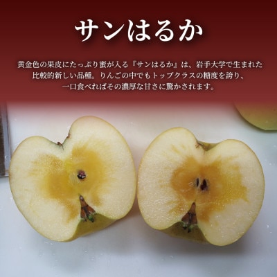 【青森直送 季節の味覚をお届け!】サンはるか 5kg×1箱(家庭用)青森産 産地直送 限定生産【配送不可地域：離島】