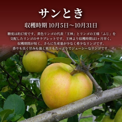 【青森直送 季節の味覚をお届け!】サンとき 3個入×5箱(贈答用)青森産 産地直送 限定生産【配送不可地域：離島】