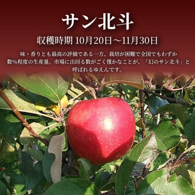 【青森直送 季節の味覚をお届け!】サン北斗(幻のサン北斗)3kg×3箱(家庭用)青森産 産地直送【配送不可地域：離島】