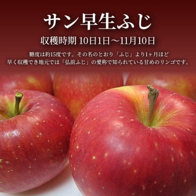 【青森直送 季節の味覚をお届け】サン早生ふじ 5kg×1箱(訳あり)2026年産 産地直 限定生産【配送不可地域：離島】