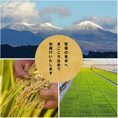 【先行予約受付】令和8年　青森県産まっしぐら　玄米30kg　彩北米【配送不可地域：離島・沖縄県】