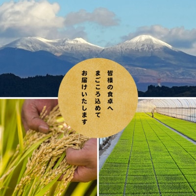 【先行予約受付】令和8年　青森県産まっしぐら　玄米10kg　彩北米【配送不可地域：離島・沖縄県】