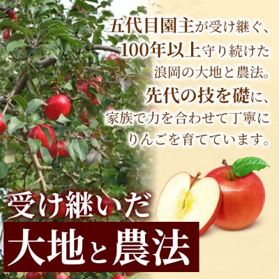 【爽やかな甘み】 りんご 「シナノゴールド」 家庭用 約3kg (約9～12玉) 青森市 産地直送【配送不可地域：離島】