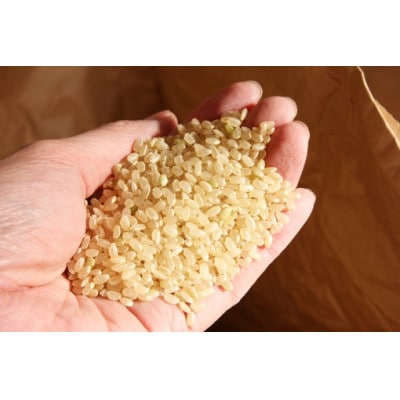 【毎月定期便】青森県産 まっしぐら 白米 10kg【青森米】全3回