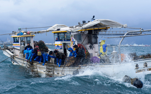 青森県むつ湾産ほたて貝柱「玉雫」300g冷凍【配送不可地域：離島】