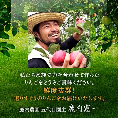 りんご 葉取らずふじ 蜜入判定 3kg (約9～12個)【配送不可地域：離島】