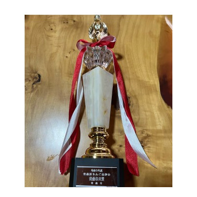 【希少品種】「華宝」約3kg・訳あり家庭用りんご 青森市長賞受賞【配送不可地域：離島】