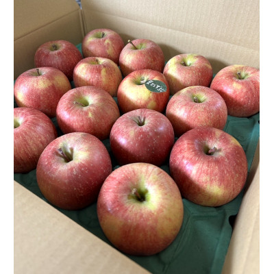 当園人気第1位!!【青森市産 完熟葉とらずふじ】　約10kg　32～43玉 (家庭用)【配送不可地域：離島】