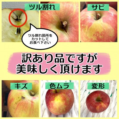 当園人気第1位!!【青森市産・完熟葉とらずふじ】約3kg　8～12玉　(家庭用)