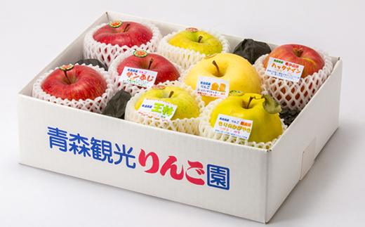 贈答用【2025年11月～2026年3月発送】農家おススメ!旬のりんご約3kg(9玉～11玉入り)【配送不可地域：離島】