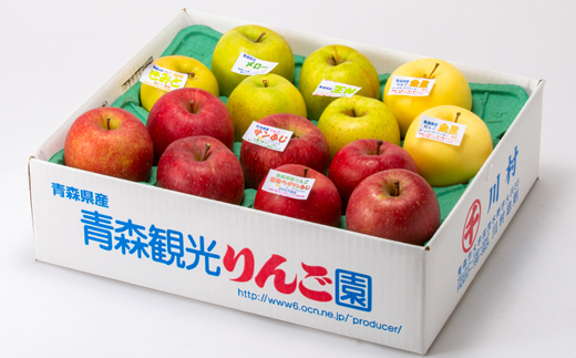 家庭用【2025年11月～2026年3月発送】農家おススメ!旬のりんご約5kg(14玉～20玉入り)【配送不可地域：離島】