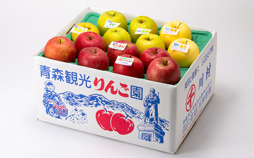 家庭用【2025年11月～2026年3月発送】農家おススメ!旬のりんご約10kg(28～40玉入り)【配送不可地域：離島】