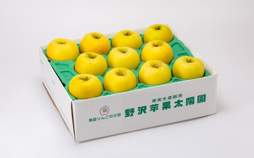 青森市産りんご「シナノゴールド」約5kg(家庭用)【配送不可地域：離島・沖縄県】