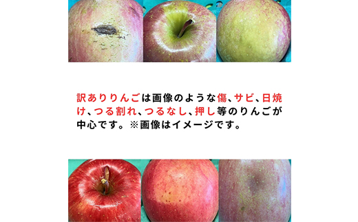 【令和7年1月下旬頃発送】産地直送 青森県産 訳ありサンふじ 5キロ箱 10～23玉 青森県産りんご【配送不可地域：離島・沖縄県】