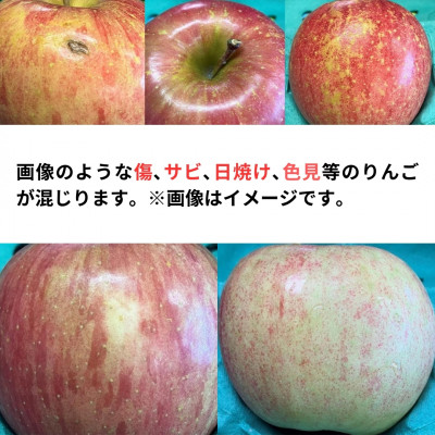 【10月下旬より発送開始】産地直送 青森県産もりのかがやき 3キロ箱 6～14玉 青森県産りんご【配送不可地域：離島】