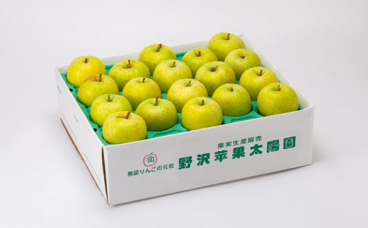 青森市産りんご「葉取らず王林」約5kg(家庭用)【配送不可地域：離島・沖縄県】