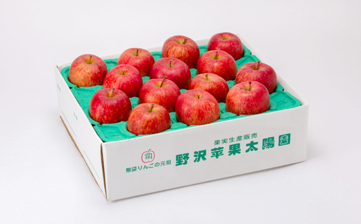 【贈答用にもどうぞ】 青森市産りんご「葉取らずサンふじ」約5kg【配送不可地域：離島・沖縄県】