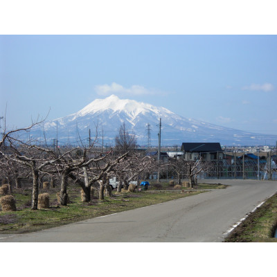 【百年続く青森のりんご農家直送】葉とらずサンふじ 　約3kg　贈答用【12月から発送開始】【配送不可地域：離島】