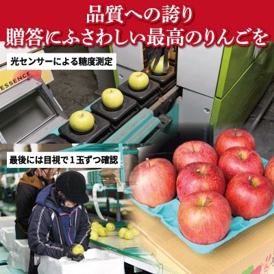 平均糖度13度以上! サンふじ 約10kg 贈答【配送不可地域：離島・沖縄県】