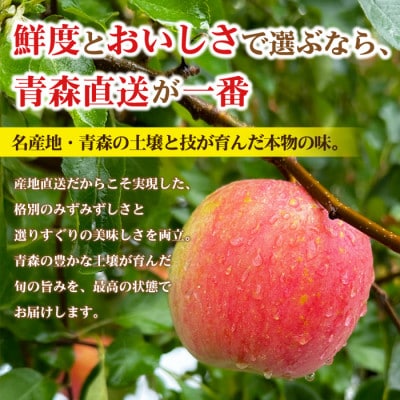 【26年5月出荷予定】平均糖度13度以上! 有袋ふじ 約5kg おもてなし用 CA貯蔵 クール便【配送不可地域：離島・沖縄県】