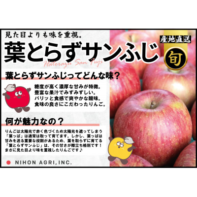【2025年12月発送予定】平均糖度13度以上! 葉とらずサンふじ 約3kg 訳あり【配送不可地域：離島】