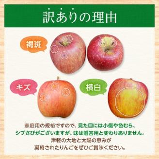 【青森産】糖度13度以上保証!訳あり葉とらずサンふじ家庭用約10kg【配送不可地域：離島・沖縄県】