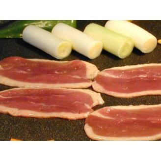 鴨せいろ・鴨南蛮セット(3～4人前)【配送不可地域：離島】